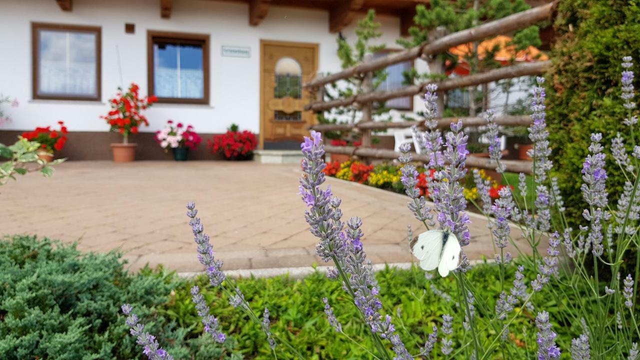 Haus Jeannette Lägenhet Zellberg Exteriör bild